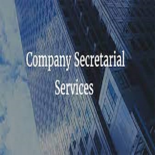 Company Secretarial Work